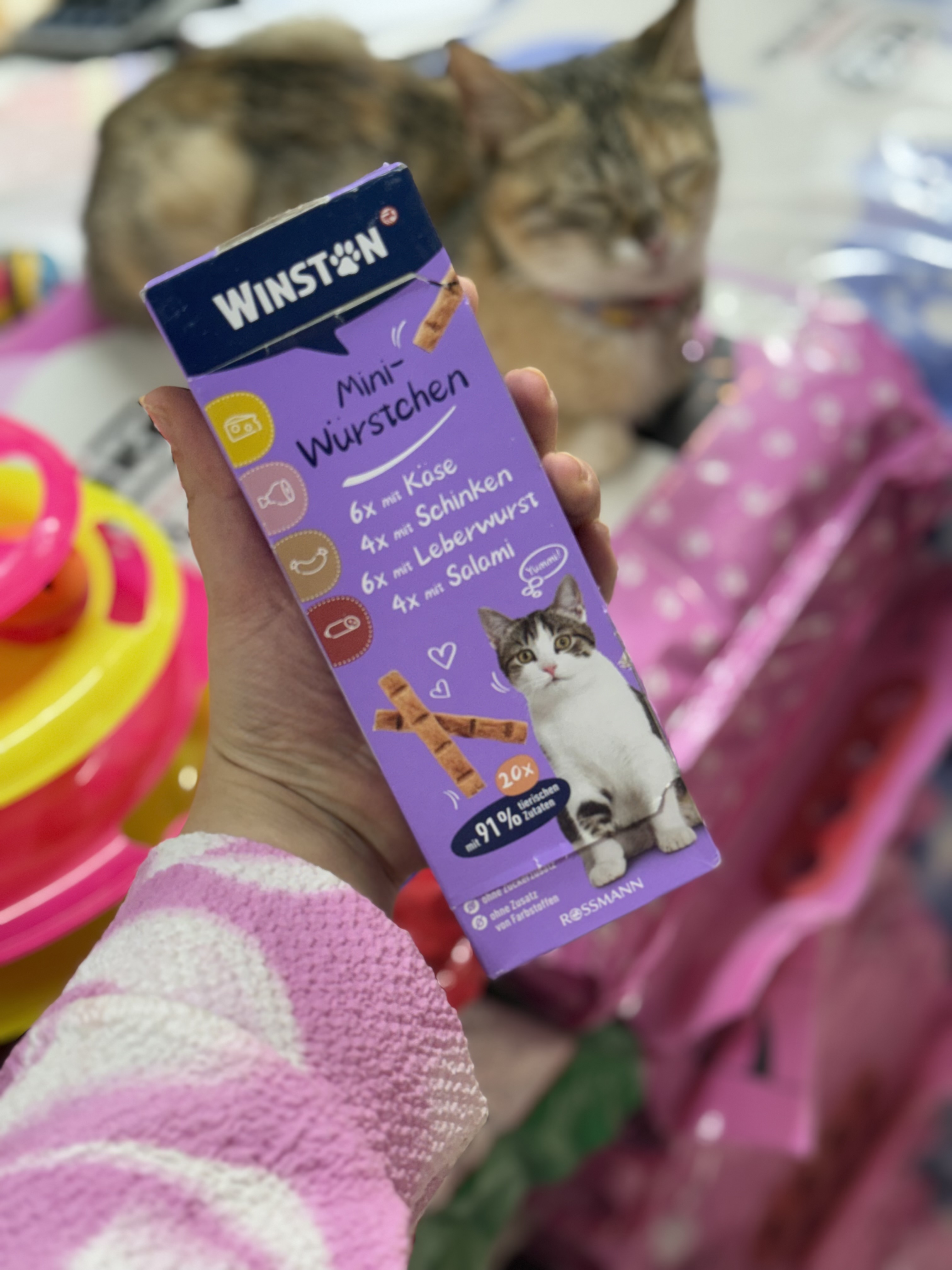 تشویقی وینستون مدادی سوسیسی گربه (winston cat mini stick)