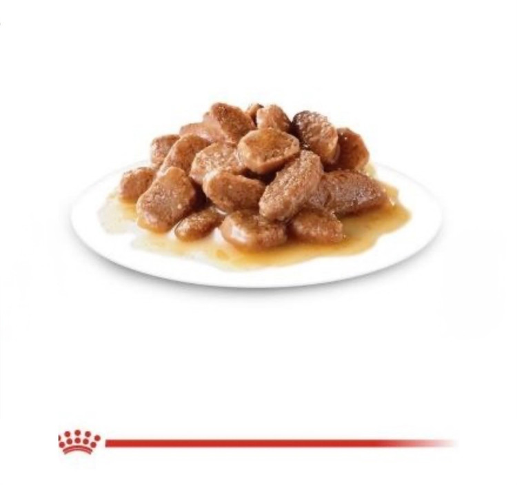 پوچ گربه رویال کنین مدل Sterilised وزن ۸۵ گرم طعم گوشت