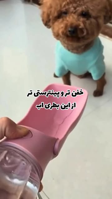 بطری آب سگ