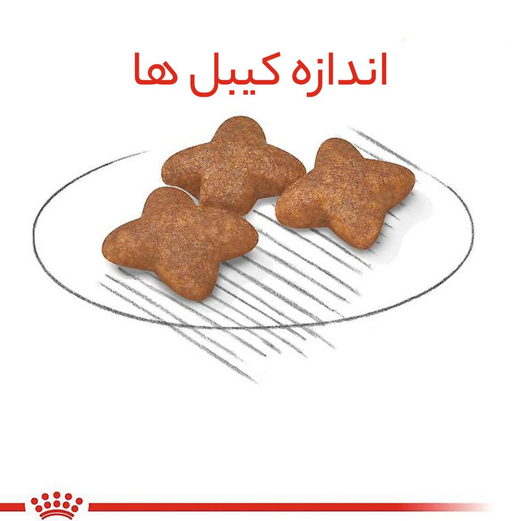 غذای خشک سگ بالغ نژاد کوچک رویال کنین مدل Mini Adult وزن 4کیلوگرم