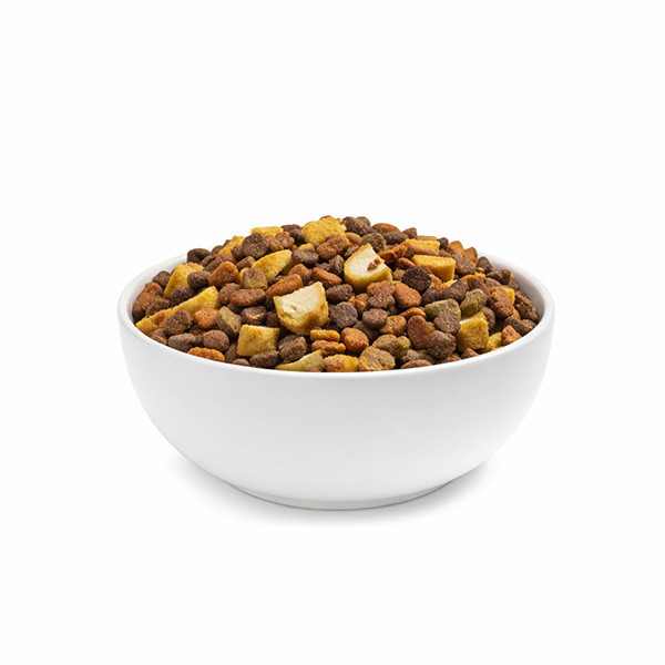 غذا خشک گربه نابالغ ویسکاس مدل junior طعم مرغ وزن 300 گرم