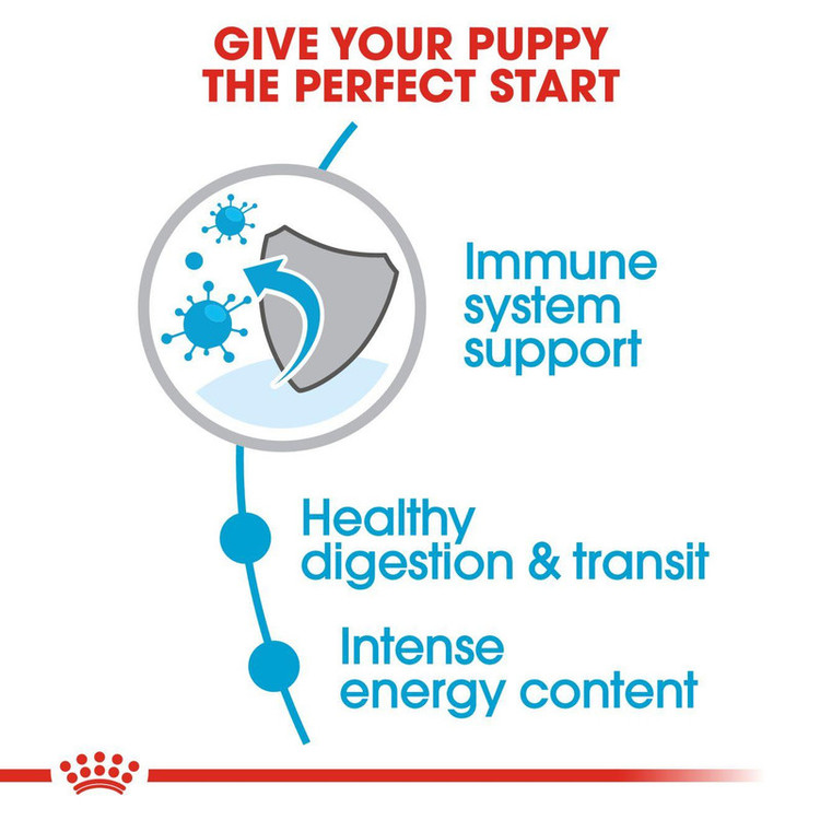غذای خشک سگ رویال کنین مدل puppy x-small وزن 1.5 کیلوگرم