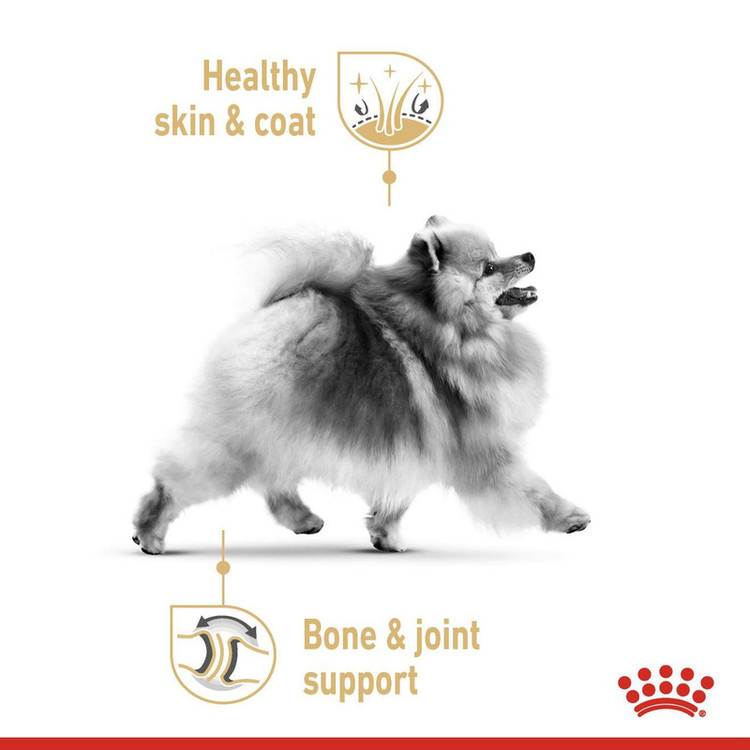 پوچ سگ پامرانین بالغ رویال کنین مدل Pomeranian وزن 85 گرم