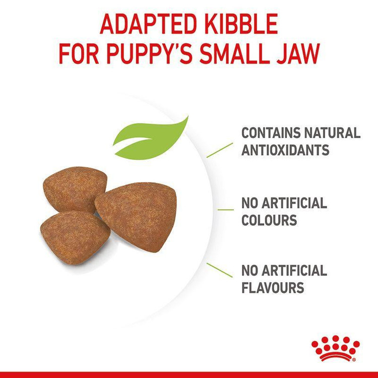 غذای خشک و توله سگ رویال کنین مدل Mini Puppy وزن 2 کیلوگرم مجموعه 3 عددی
