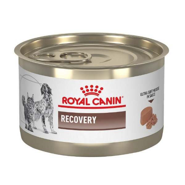 پوچ گربه و سگ رویال کنین مدل recovery طعم گوشت - 195 گرم