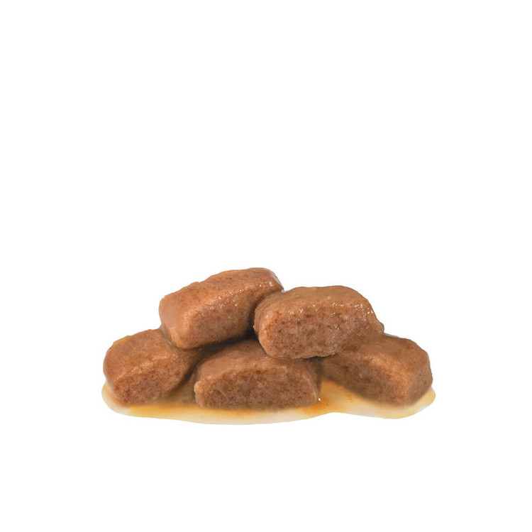 غذای خشک گربه برند رویال کنین مدل gastrointestinal وزن 2 کیلوگرم به همراه پوچ gastrointestinal وزن 100 گرم