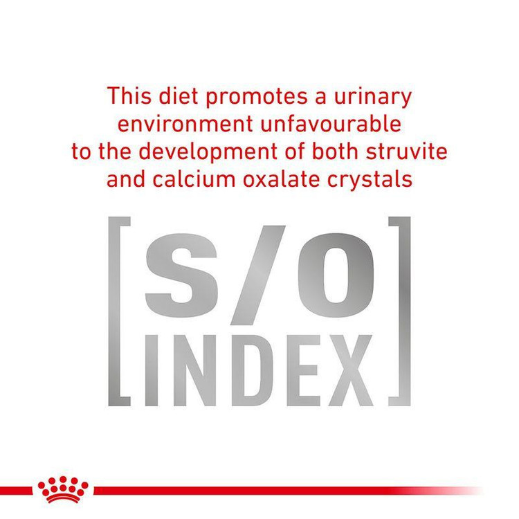 غذای خشک گربه برند رویال کنین مدل gastrointestinal وزن 2 کیلوگرم به همراه پوچ gastrointestinal وزن 100 گرم