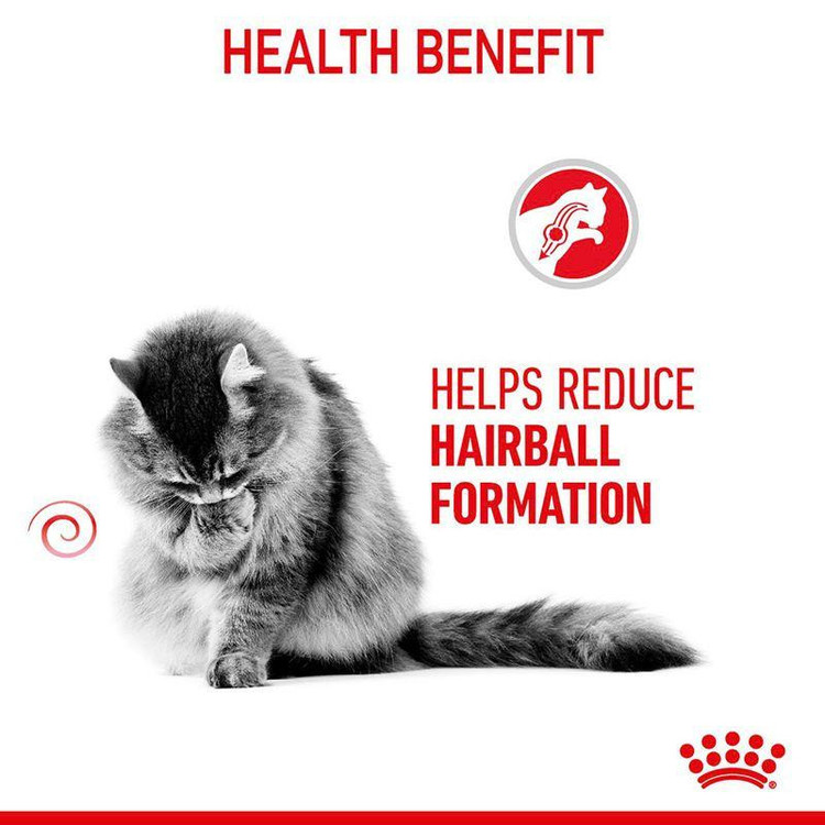 غذا خشک گربه رویال کنین مدل Hairball Care وزن 2 کیلوگرم به همرا بستنی گربه گربه