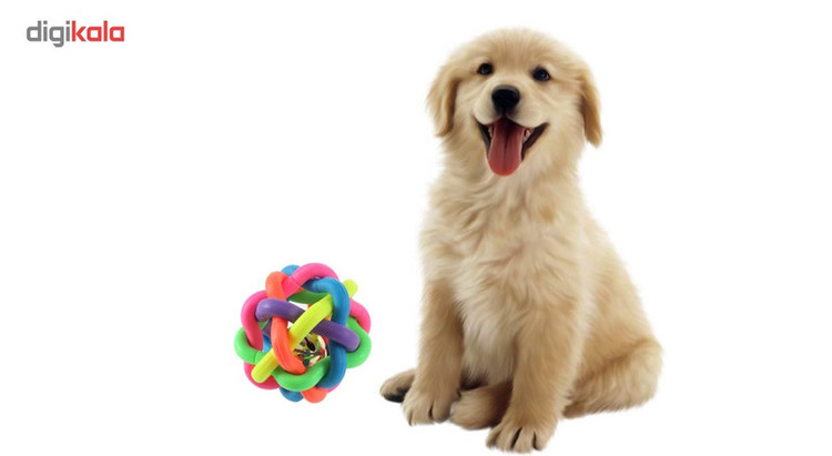 اسباب بازی سگ توپ پیچ در پیچ مدل Juguetes Perro Ball-M قطر 6.5 سانتی متری