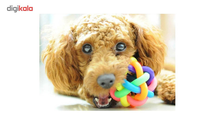 اسباب بازی سگ توپ پیچ در پیچ مدل Juguetes Perro Ball-M قطر 6.5 سانتی متری