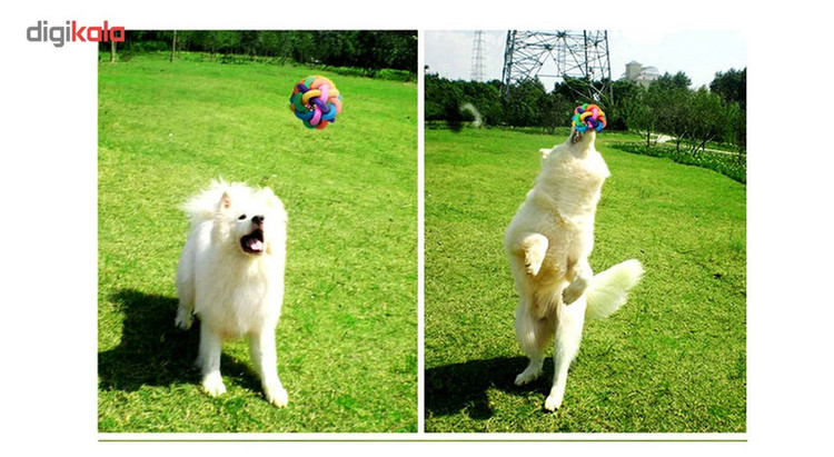 اسباب بازی سگ توپ پیچ در پیچ مدل Juguetes Perro Ball-M قطر 6.5 سانتی متری