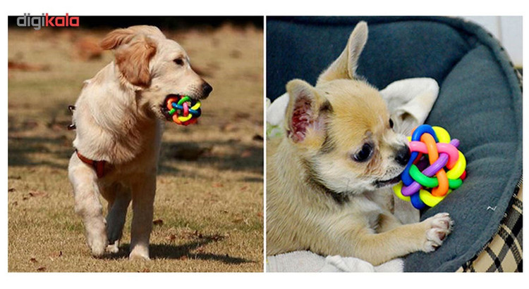 اسباب بازی سگ توپ پیچ در پیچ مدل Juguetes Perro Ball-M قطر 6.5 سانتی متری