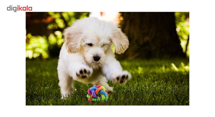اسباب بازی سگ توپ پیچ در پیچ مدل Juguetes Perro Ball-M قطر 6.5 سانتی متری