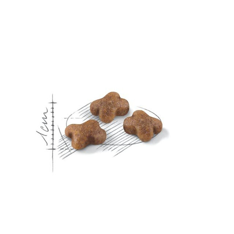 غذای خشک گربه عقیم شده رویال کنین مدل Regular Sterilised وزن 2 کیلوگرم